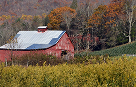 Southwest Virginia, Fall